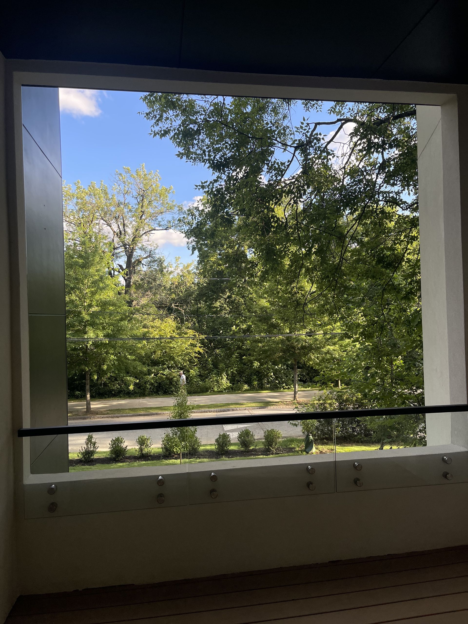 Outdoor standoff glass guard with bright metal pins and a slim black rail across a large opening facing the street trees